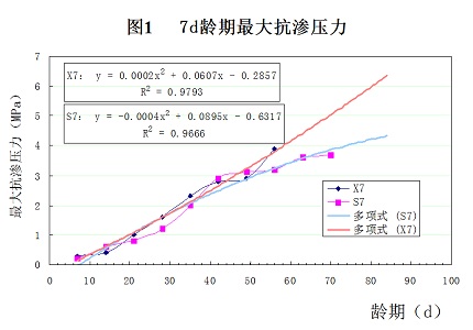 XYPEX掺合剂材料自愈抗渗性能 试验研究报告